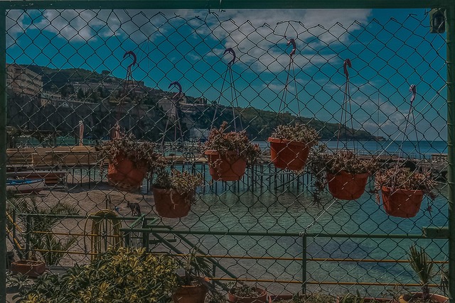 Anacapri, Capri, Flori, Vacanţă, Tapet