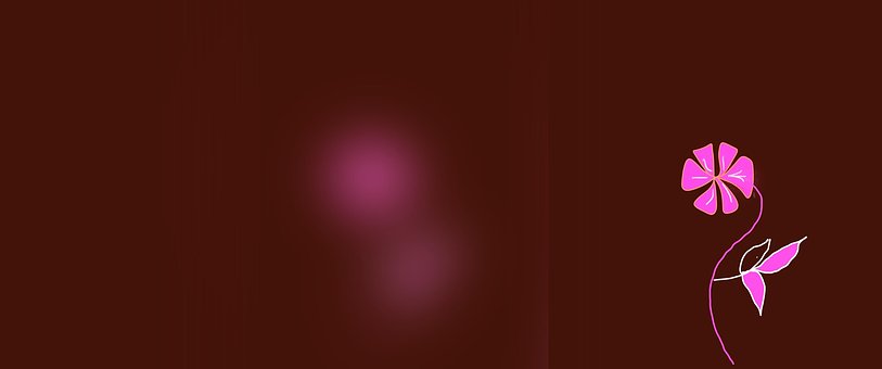 Free Bloom Blossom illustration and picture