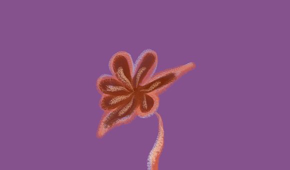 Free Flowers Blossom illustration and picture