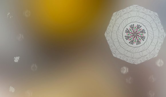 Free White Flower illustration and picture