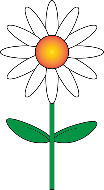 Free Flower White Flower vector and picture