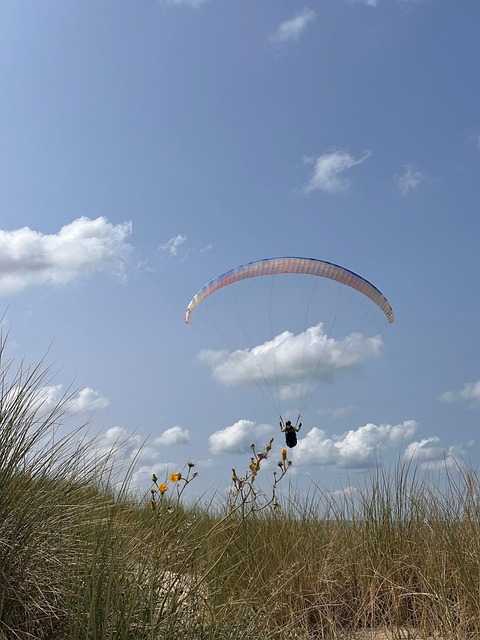 Free Parasailing Parachute photo and picture