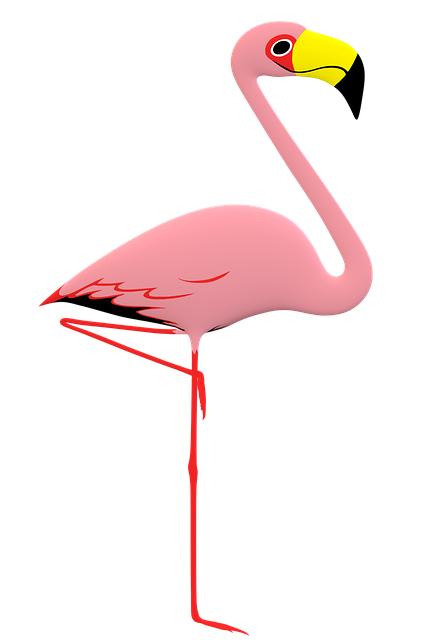 Flamingo, Vogel, Tier, Tierwelt