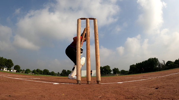Free Cricket Sports illustration and picture