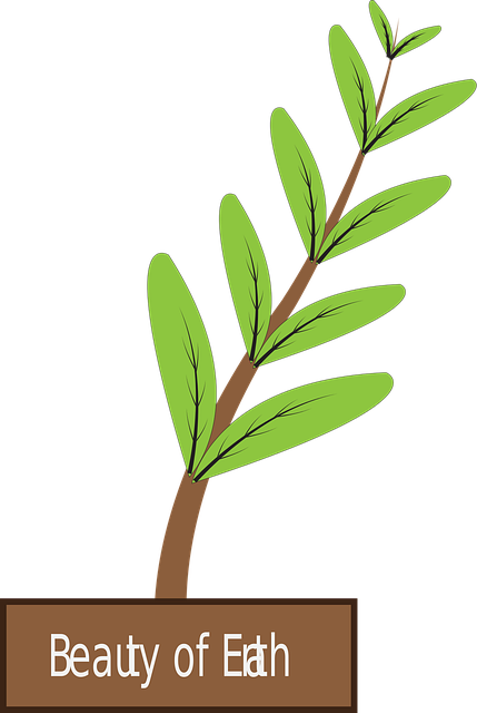 Free Tree Green Tree vector and picture