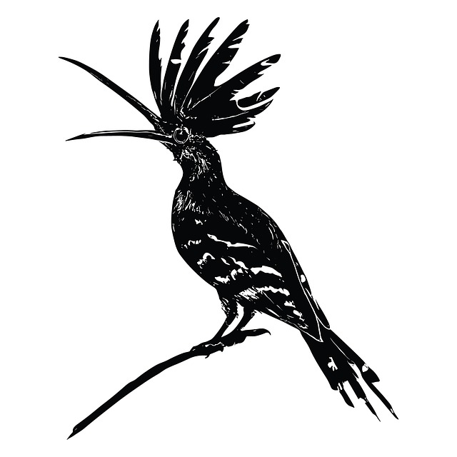 Free Ai Generated Bird illustration and picture