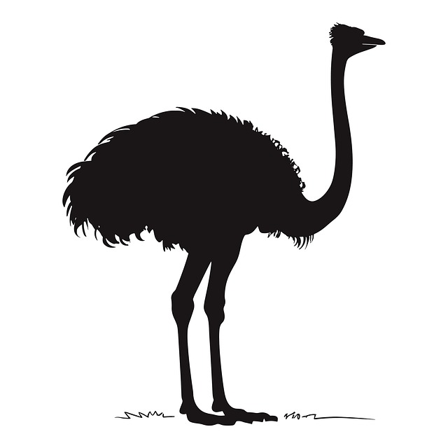 Ai Generiert, Vogel, Strauß, Natur