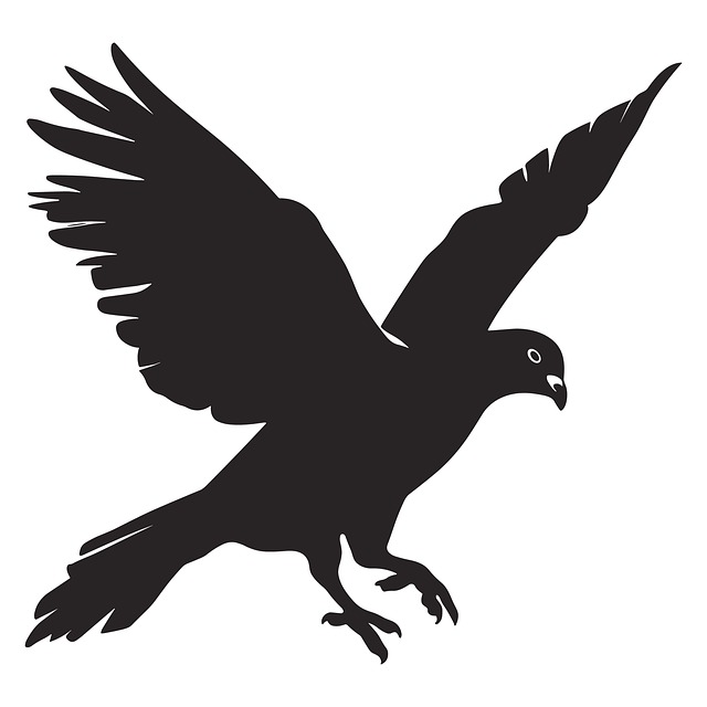 Free Bird Ai Generated illustration and picture