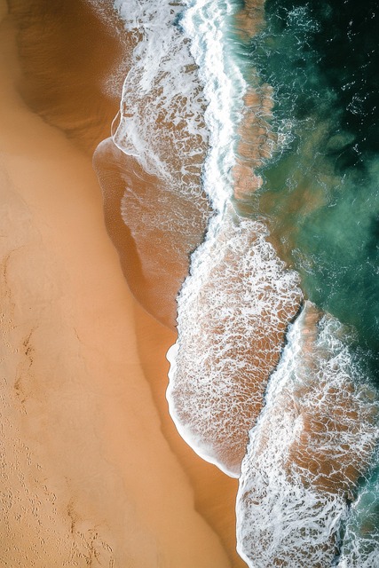 Free Beach Sea photo and picture