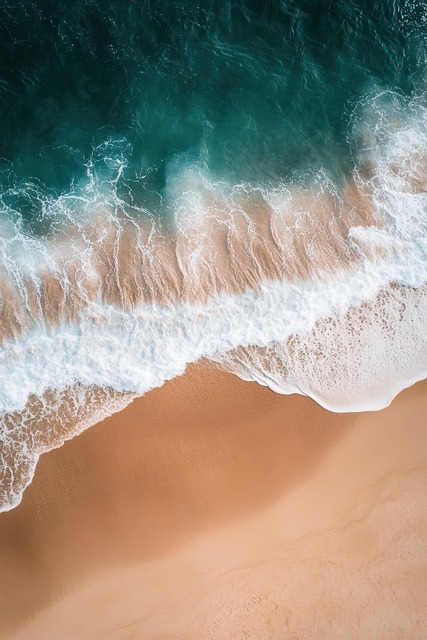 Free Ocean Sea photo and picture