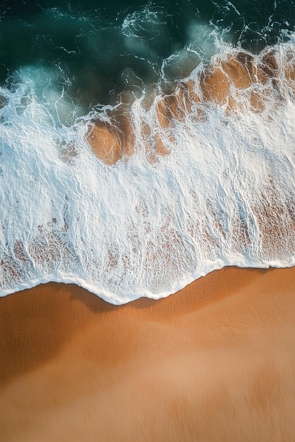 Free Ocean Sea photo and picture