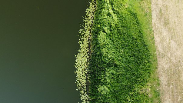 Free Water Lake photo and picture