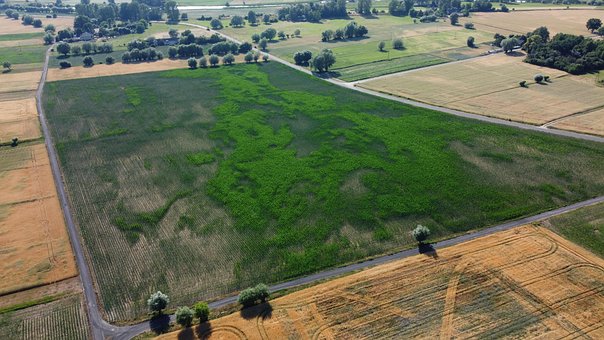 Free Field Green photo and picture