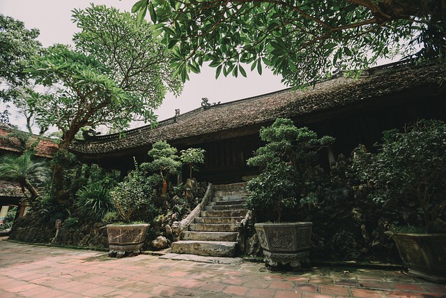 Pagoda, Vietnam, Starověký, Dějiny