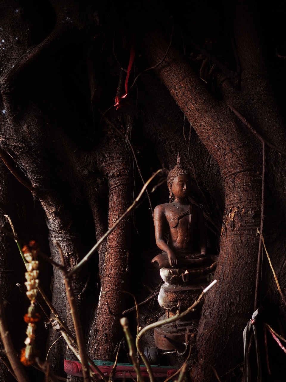 Meditation Mönch Buddhismus - Kostenloses Foto auf Pixabay