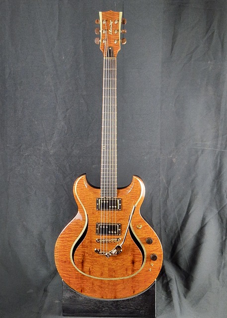 Elektrisk, Tre, Gitar, Semi-Akustisk