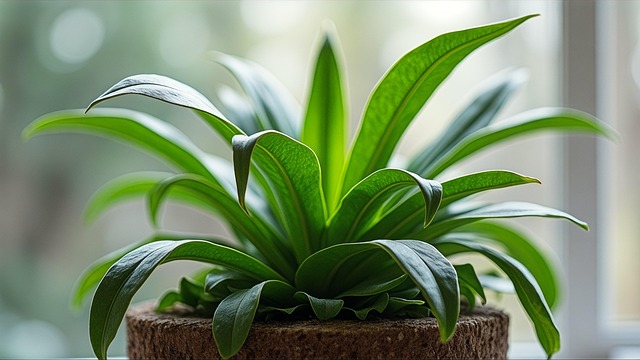 Free Ai Generated Plant illustration and picture