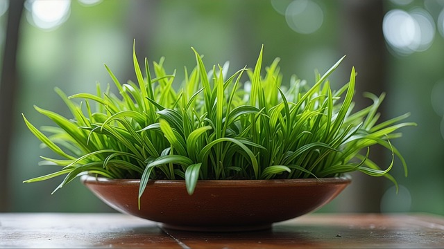 Free Ai Generated Gardening illustration and picture