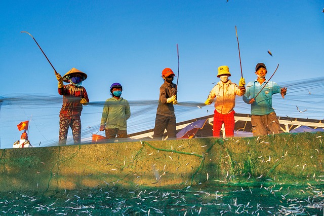 Vietnam, Natur, Boote, Kultur, Asiatisch