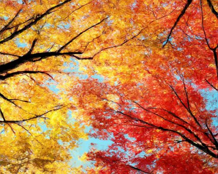 Malen, Herbst, Bäume, Bunt