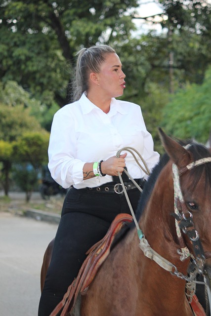 Hest, Ride, Parter, Rumba, Mare