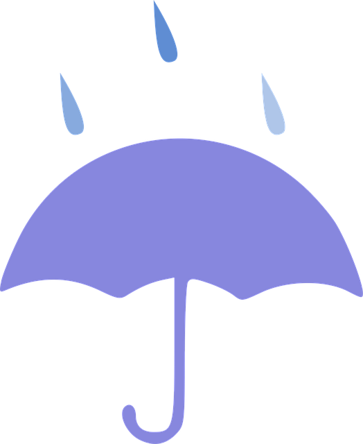 Free Umbrella Rain vector and picture