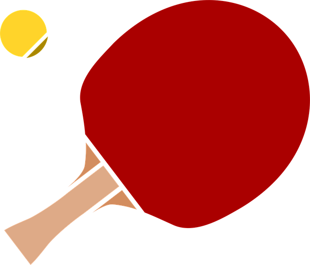 Tenis De Mesa, Ping Pong, Paleta