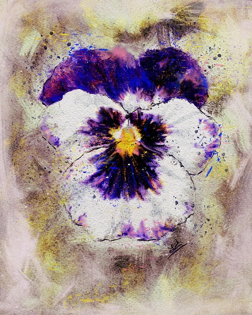 Amor-Perfeito, Flor, Bloom, Florescer