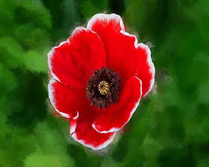 Blumen, Malen, Blüte
