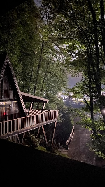 Free Cabin House photo and picture