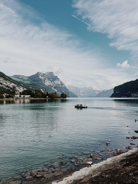 Free Lake Shore photo and picture