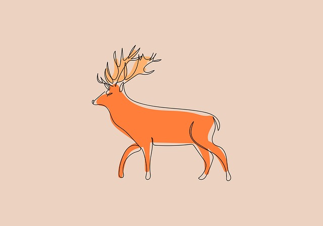 Free roe deer deer drawing illustration
