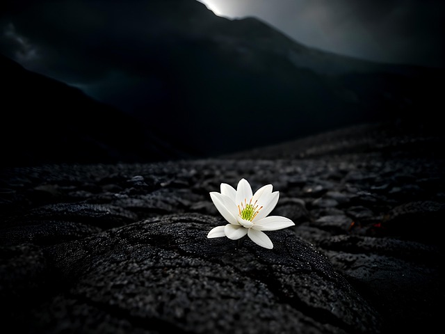 Free ai generated flower nature illustration