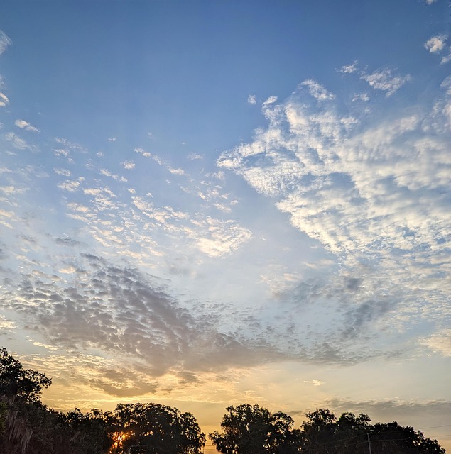 Free Sunrise Cloudscape photo and picture