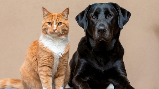 Free ai generated cat dog illustration