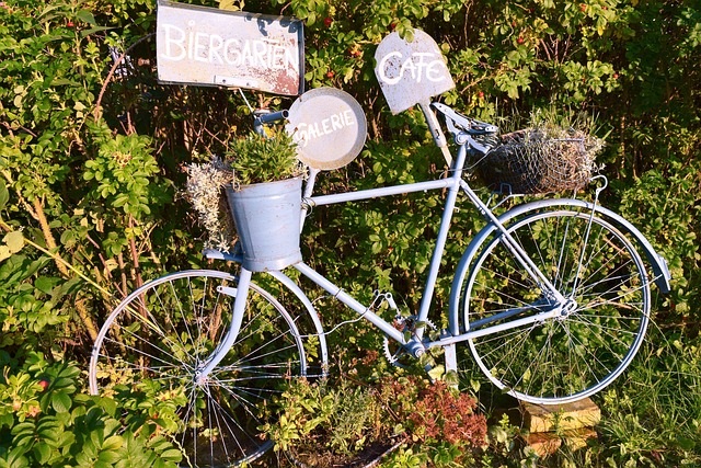 Free Bicycle Nature photo and picture