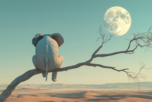 Free animal elephant dry illustration