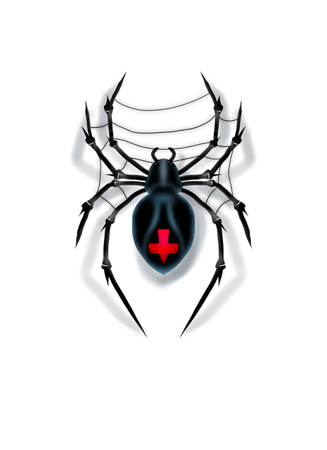 Free spider black widow spooky illustration