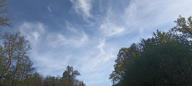 Himmel, Skyer, Træer, Efterår, Landskab