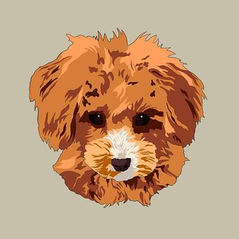 Free Cute Puppy illustration and picture