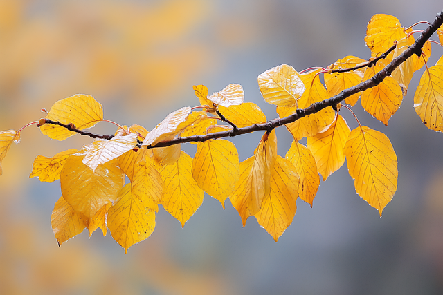 Download free HD stock image of Ai Generated Autumn Free ai generated autumn fall illustration