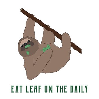 Free Sloth Cute illustration and picture