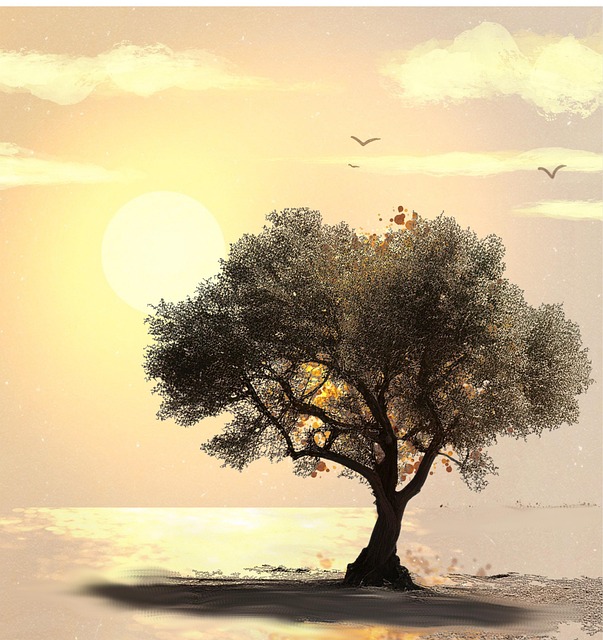 Árbol, El Verano, Sol, Sombra, Lakeshore