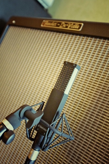 Gitaar, Gitaarcabine, Lint Microfoon