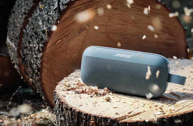 Palestrante, Música, Bluetooth