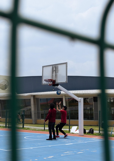 Free Ball Basketball photo and picture