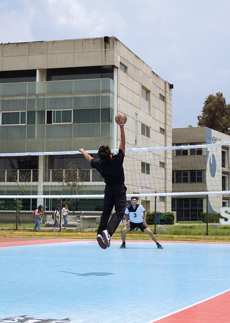 Free Volleyball Black photo and picture