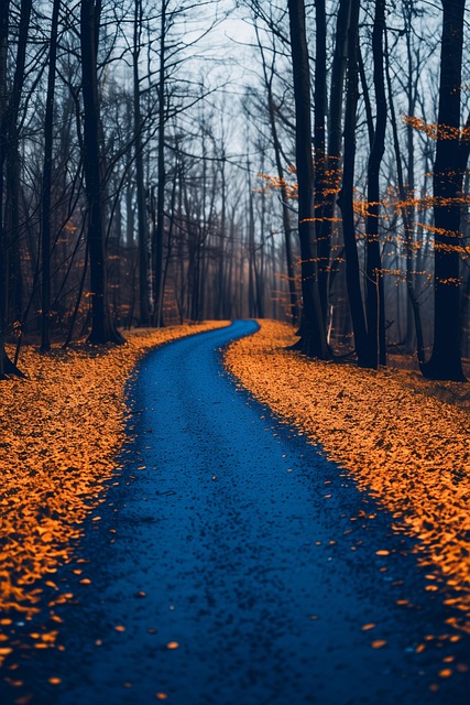 Free Ai Generated Forest illustration and picture