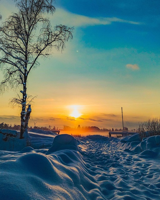 Free Winter Landscape photo and picture