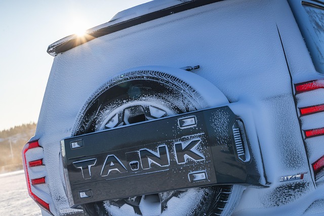 Free Tank 400 Gwm Tank photo and picture